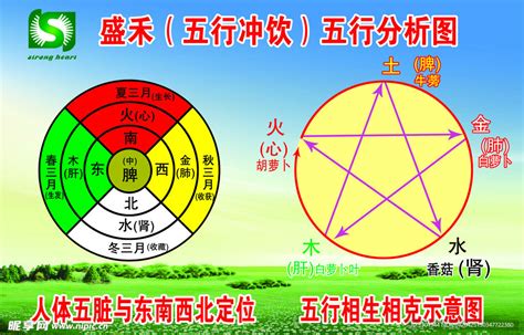 生肖五行五行相生相克|五行生克关系图 五行相生相克详解